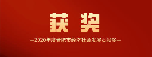 又得一獎(jiǎng)！中水三立喜獲2020年度合肥市經(jīng)濟(jì)社會(huì)發(fā)展貢獻(xiàn)獎(jiǎng)